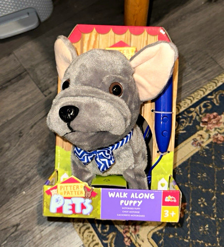 Pitter patter pets - pets, along