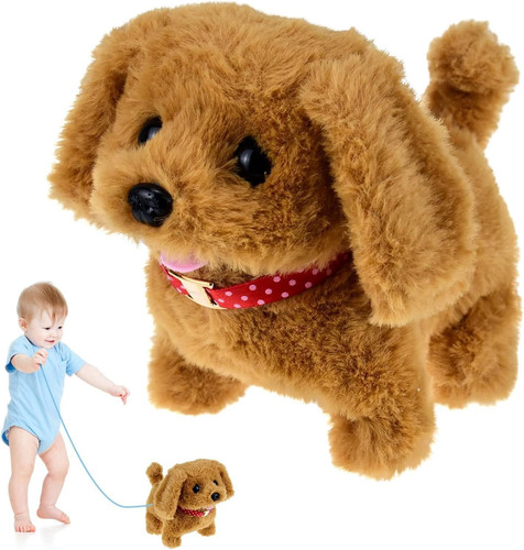 Toy dogs for - year, old