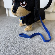 Waggles Interactive Walking