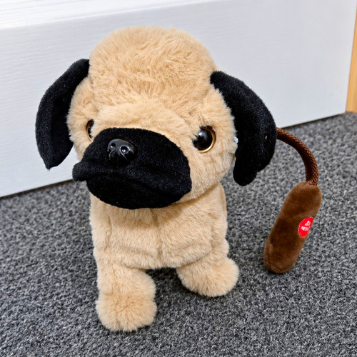 Plush pug dog soft - plush, toy