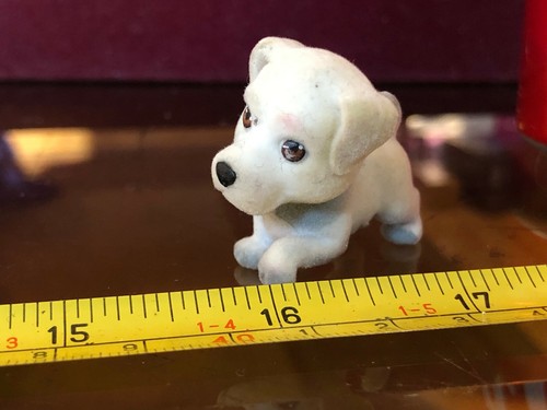 Pets pocket cute white - pocket,