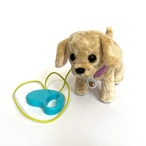 Baby born lucky dog - born,