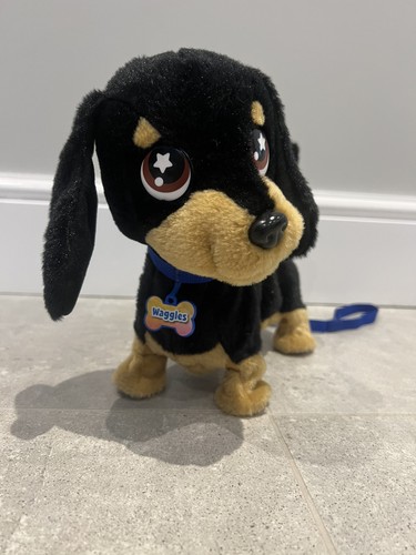 Waggles the dog - waggles,