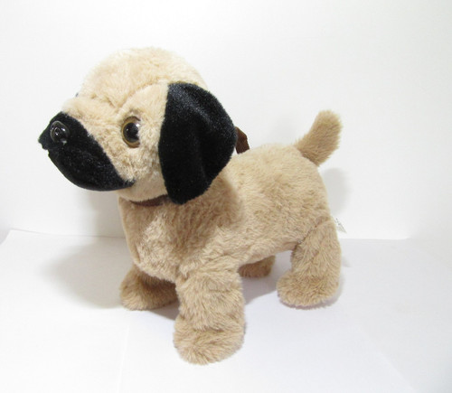Waggle pug dog - waggle, puppy