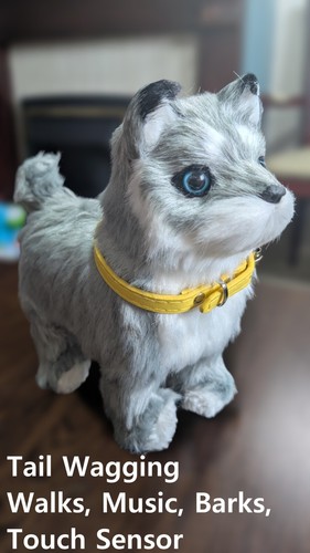 Tail wagging walking music dog - tail,