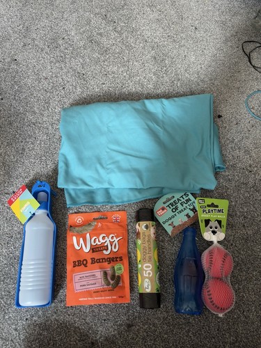 Dog walk pet bundle - dog,