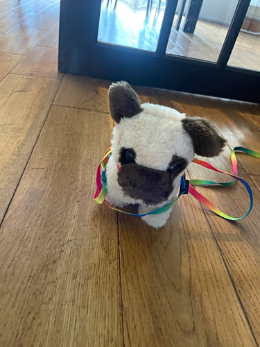 Small plush dog soft - plush, toy