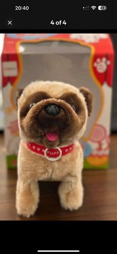 Cute dog walking barking - dog,