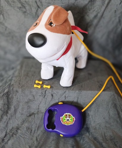 Walking puppy pet birthday - walking,