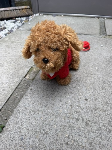 Walkies with waffle the - with, wonder