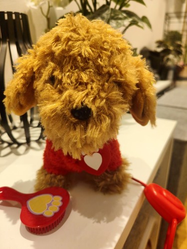 Walkies with waffle the wonder - the,