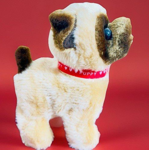 Cute dog walking barking - cute,