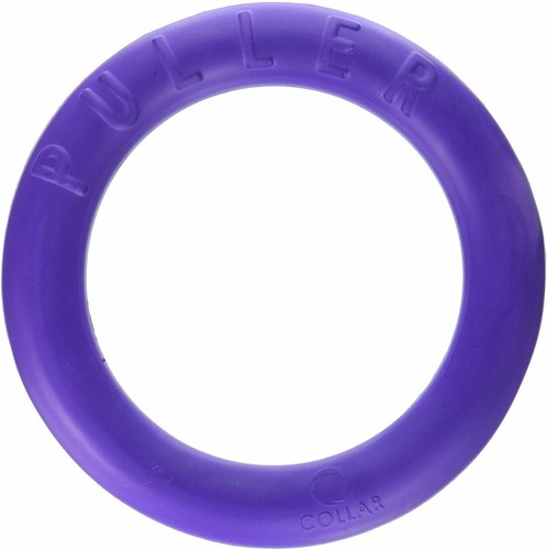Puller midi interactive - midi, dog